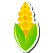 Golden Sweetcorn