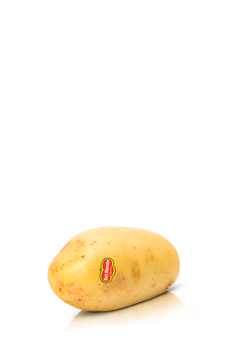 Potato